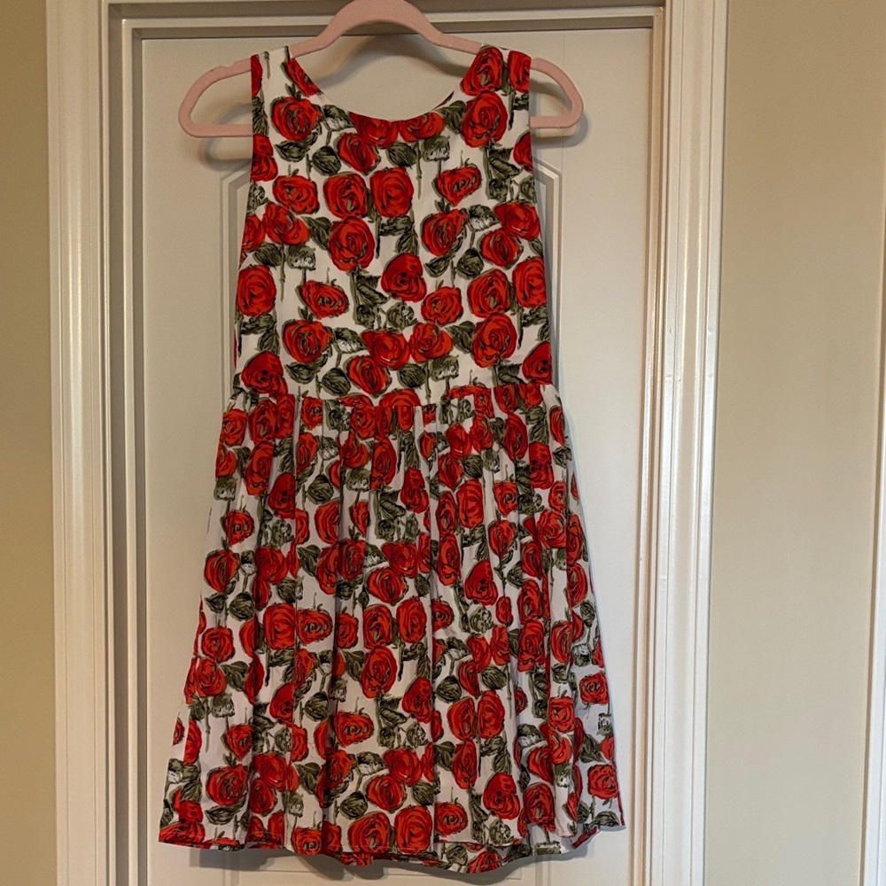 Sunday in Brooklyn Red Floral Dress